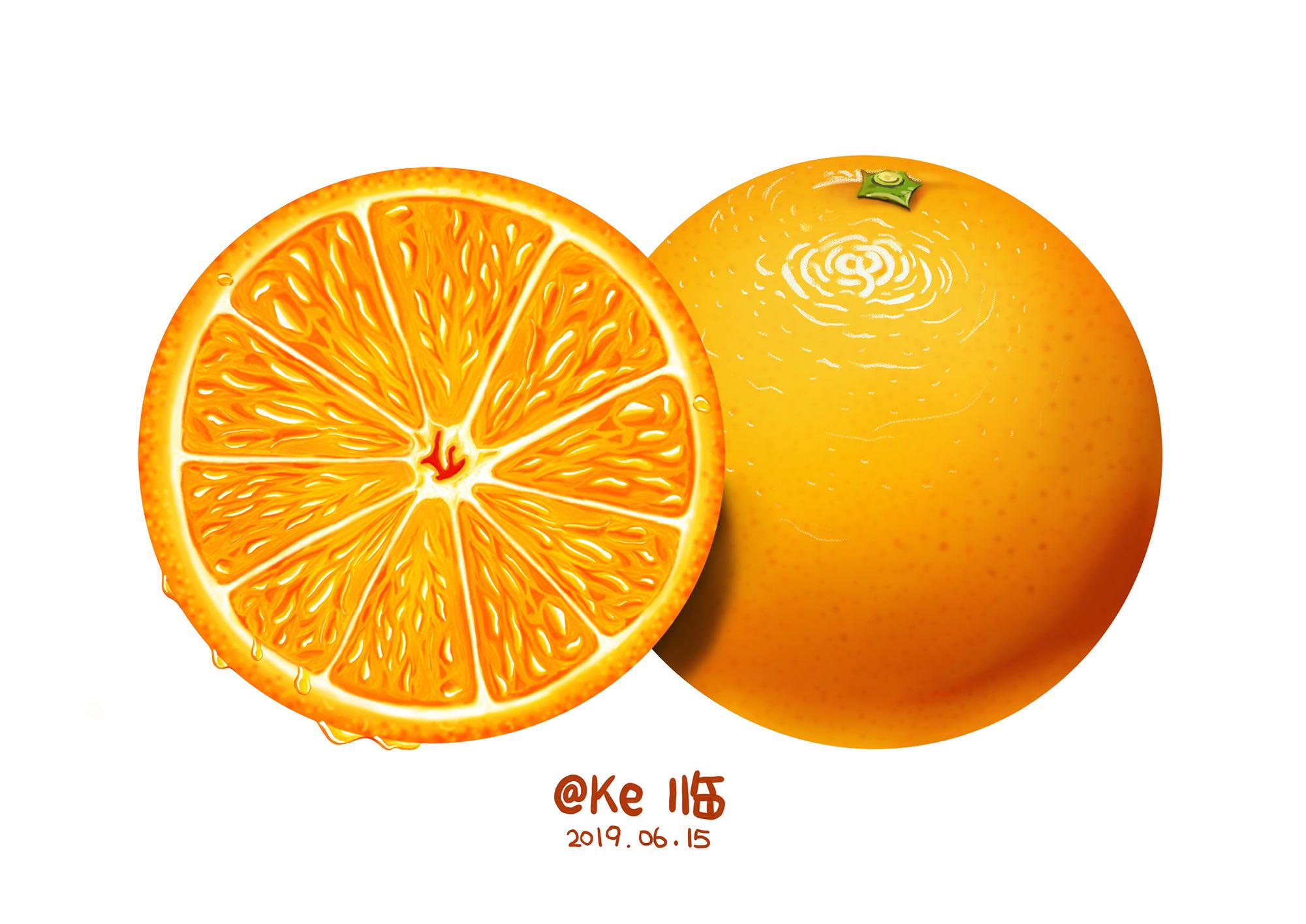 Illustration Practice 8